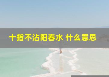 十指不沾阳春水 什么意思